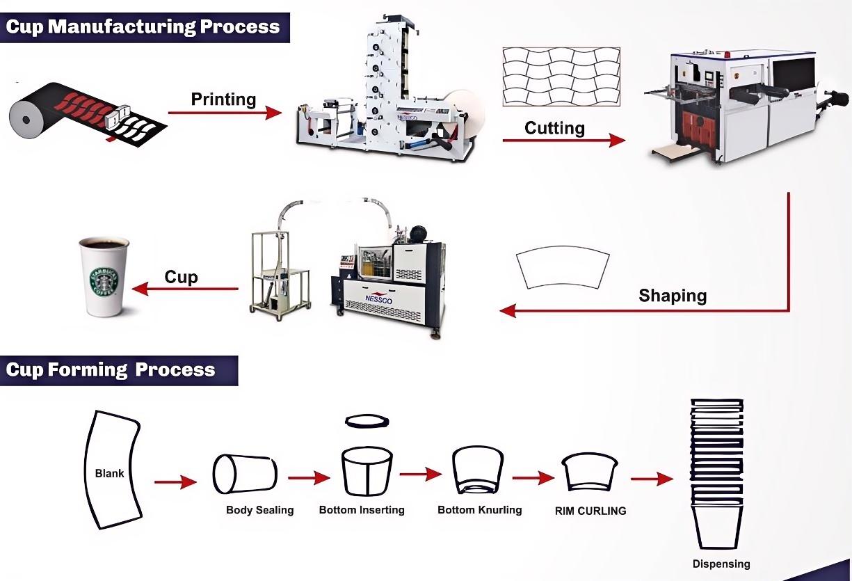 paper-cup-forming-process.jpg