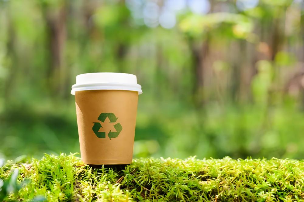 Sustainable Shifts in the Paper Cups Industry